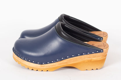 Rembrandt Dark Blue