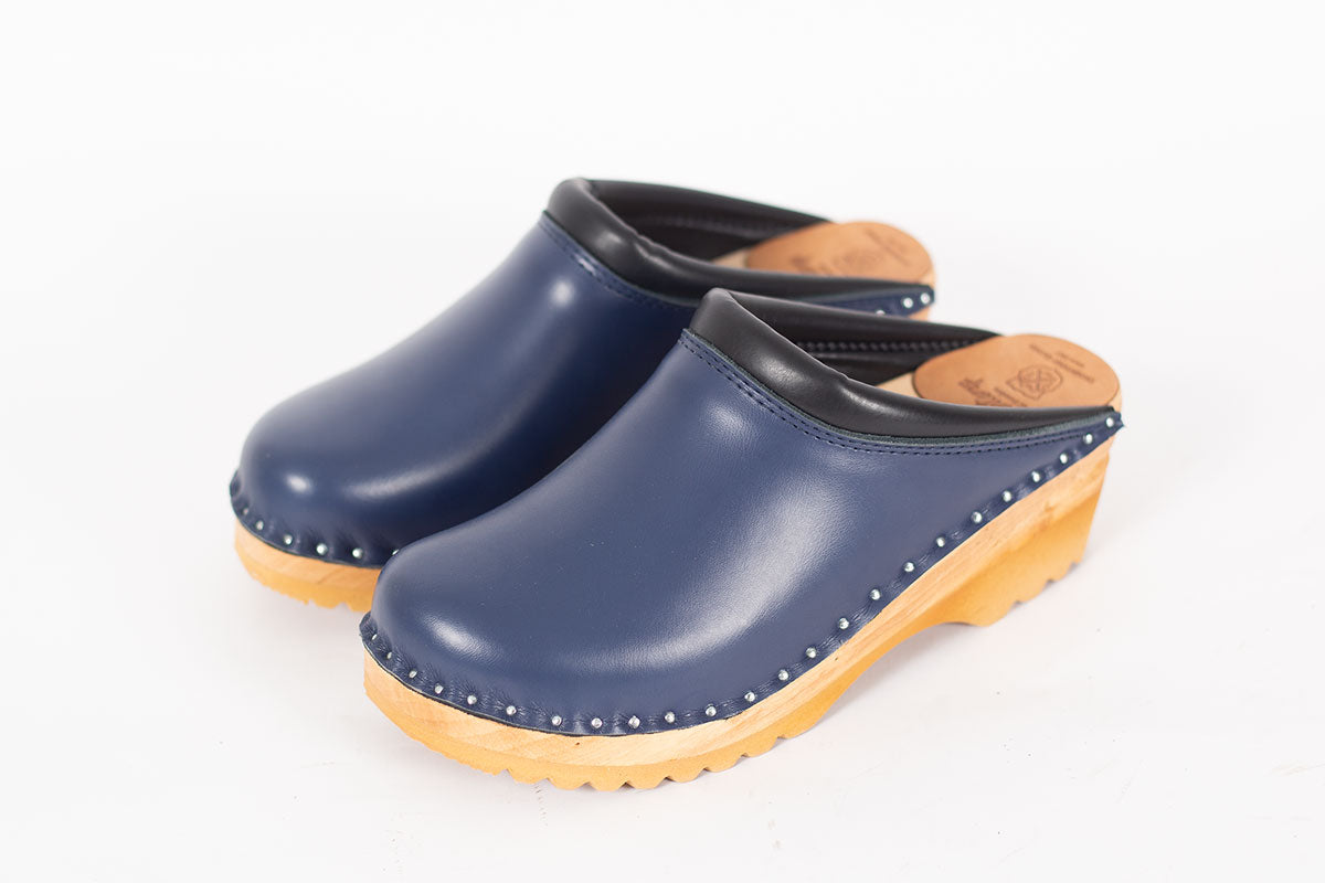 Rembrandt Dark Blue