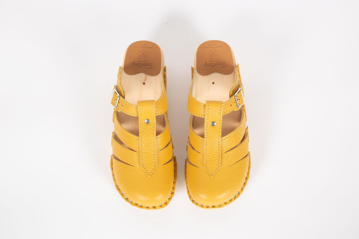 Mary Jane Ochre