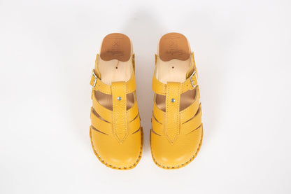 Mary Jane Ochre