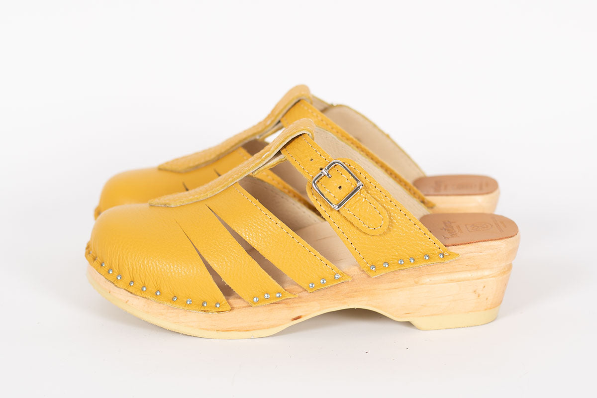 Mary Jane Ochre
