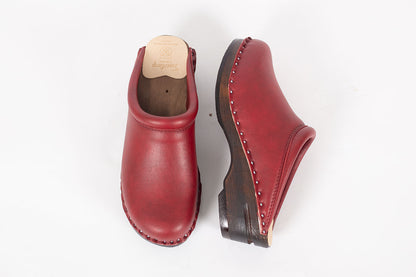 Rembrandt Red Vegan