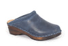 Rembrandt Blue Waxy
