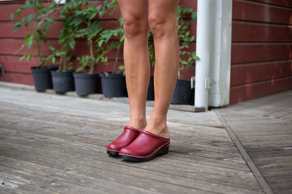 Rembrandt Red Vegan