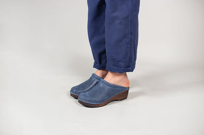 Rembrandt Blue Waxy