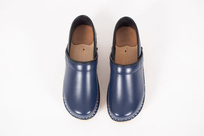 Van Gogh Dark Blue