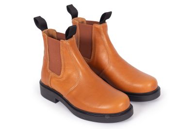 Whistler Classic Camel